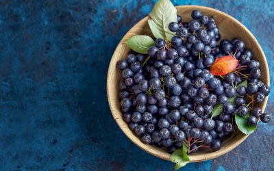 Matični sok ploda aronije (Aronia melanocarpa) pomaže u prevenciji nastanka bolesti