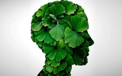 Ginko nije samo dobar za pamćenje već i za perifernu cirkulaciju i neuropatije